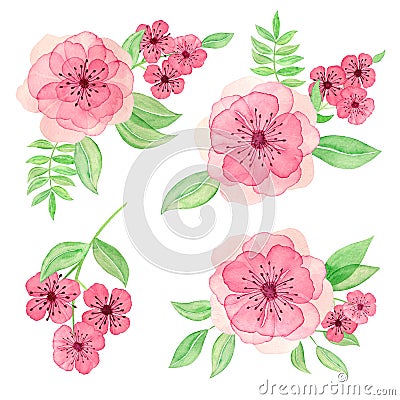 Set of watercolor bouquets. Paint flowers for greeting card. Hand drawn plants Stock Photo