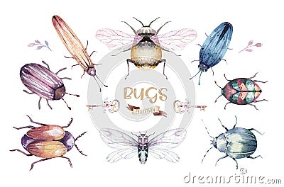 Set of watercolor bright beetles, bugs fly and bees. Isolated colorful cartoon buttle and bug. Insect set decoration Stock Photo