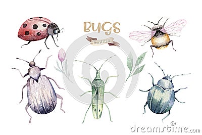 Set of watercolor bright beetles, bugs fly and bees. Isolated colorful cartoon buttle and bug. Insect set decoration Stock Photo