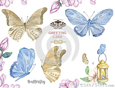 Set of watercolor butterfly. Vintage summer isolated spring art. Watercolour illustration. design wedding card, insect, flower Cartoon Illustration