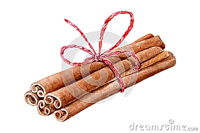 Set of watercolor cinnamon sticks and tea spices anise, cloves, cardamom on white background Stock Photo