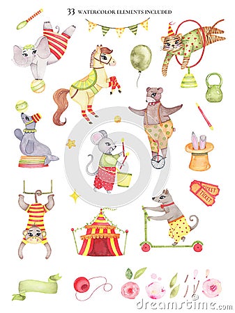 Set of watercolor circus elements animals bear on unicycle elephant on ball horse tiger jumping Stock Photo