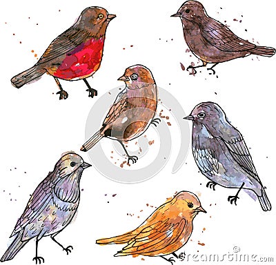 Set of watercolor drawing birds Vector Illustration