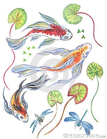 A set of watercolor drawings: koi fish, dragonflies and plants. Cartoon Illustration