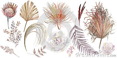 Watercolor collection of dried flowers from herbs and flowers of protea and rose Stock Photo