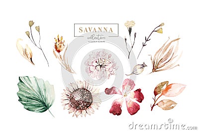 Set watercolor elements of savanna gold flowers collection garden red, burgundy flower, leaves, branches, Botanic Cartoon Illustration