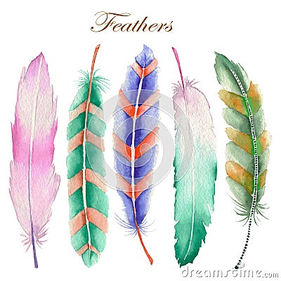 Set of watercolor feathers Stock Photo