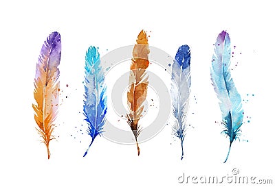 Set of watercolor feathers, hand painted Cartoon Illustration