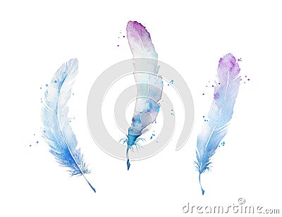 Set of watercolor feathers, hand painted Cartoon Illustration