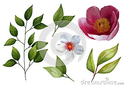 Set of watercolor flowers of cherries, peony, leaves, branches isolated on a white background Cartoon Illustration