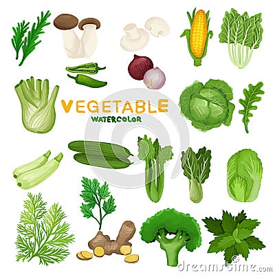 Set of Watercolor Fresh Vegetable clipart. Stock Photo