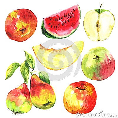 Set of watercolor fruit on a white background Cartoon Illustration