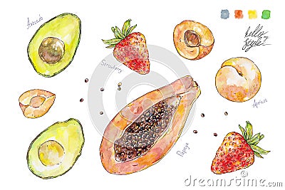 Set of watercolor fruits and berries isolated on white background. Handwork summer draw. Hello my style Stock Photo