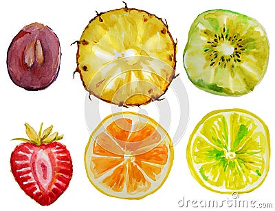 Set with watercolor fruits Stock Photo