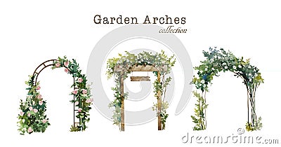 Set of watercolor garden arches with blooming white and pink roses. Original illustration for wedding environment and Cartoon Illustration