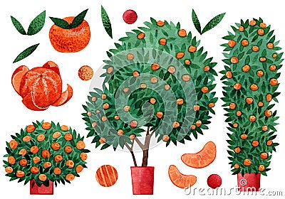 Set of watercolor hand drawn tangerine tree elements for design Stock Photo