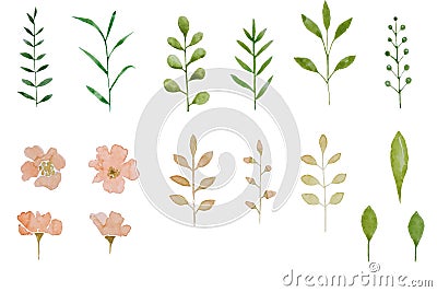 Set of watercolor herbarium elements pink flowers and leaf. Summer and spring seasons. Wedding card pattern. Stock Photo