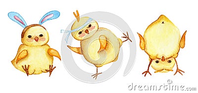 Set of watercolor illustrations of little cute yellow chickens Vector Illustration