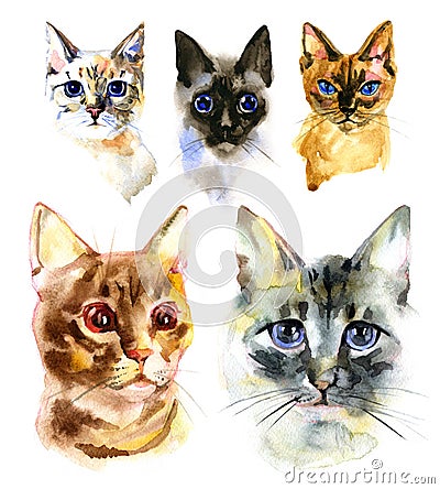 Set of watercolor Isolated hand drawn cats on whire background Stock Photo