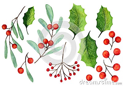 Set of watercolor mistletoe and holly berry Cartoon Illustration
