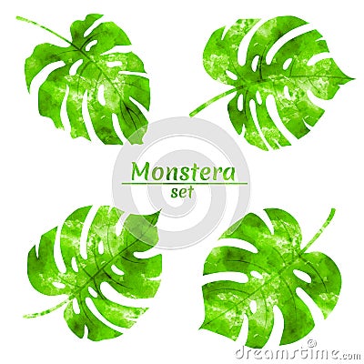 Set of watercolor monstera leaves Stock Photo