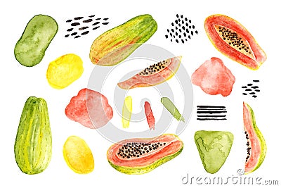 Set of watercolor papaya, abstract spots, brush strokes. Isolated bright illustration on white. Hand painted fruits Cartoon Illustration
