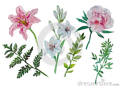 Set with watercolor peony lily fern spring summer collection with nature elements flowers leaves greens for bouquet Stock Photo