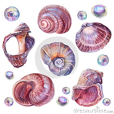 Set watercolor pink brown sea shell and nacreous bead pearl isolated on white background. Creative hand drawn realistic Stock Photo