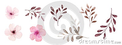 Set of watercolor pink flowers and brown leaves elements Vector Illustration