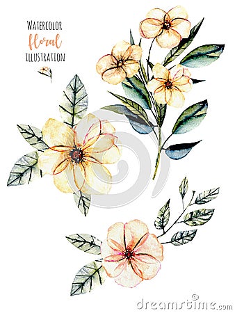 Set of watercolor pink flowers and leaves bouquets illustration Cartoon Illustration