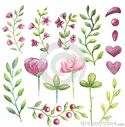 Set of watercolor pink large and small flowers, branches with green leaves for your decisions Stock Photo