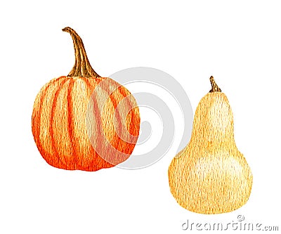Set with watercolor pumpkins. Yellow round pumpkin and pear-shaped pumpkin. Autumn harvest, healthy eating, vegetarian Stock Photo