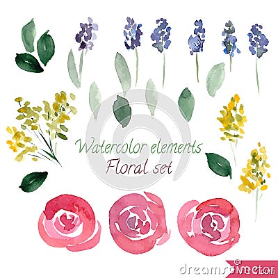 Set of watercolor roses flowers and leaf. Vector collection with leaves and flowers, hand drawing. Vector Illustration