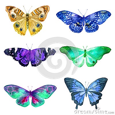 Set of watercolor transparent butterflies in blue, ocher and lilac flowers on a white background Stock Photo