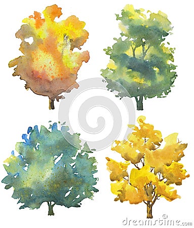 Set of watercolor trees on white, autumn colors of foliage hand drawn illustration Cartoon Illustration