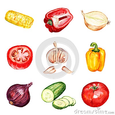 Set of watercolor vegetables Stock Photo