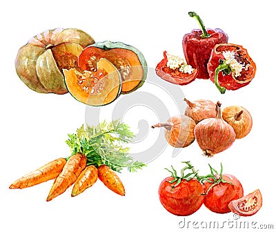 Set of watercolor vegetables onion, paprika, parrot, tomatoes, pumpkin isolated Stock Photo