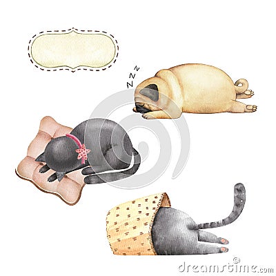 Set of watercolour illustrations of cute pets cats and pug dog Cartoon Illustration