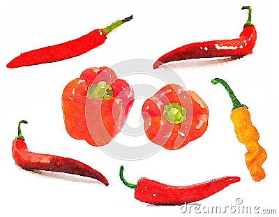 Set of watercolour painted vegetable red chili pepper Stock Photo