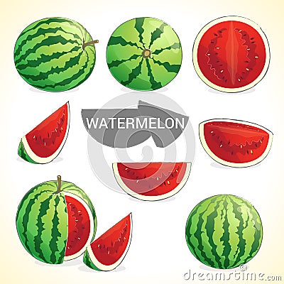 Set of watermelon in various styles vector format Vector Illustration