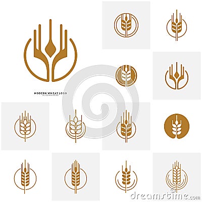 Set of Wheat Luxury Grain and bread labels. Nature wheat. Agriculture wheat Logo Template Vector Vector Illustration