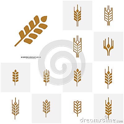 Set of Wheat Luxury Grain and bread labels. Nature wheat. Agriculture wheat Logo Template Vector Vector Illustration