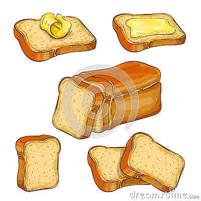 Set of wheat sliced bread and toasts illustration isolated on white. white square loaf with various bread slices icon Vector Illustration