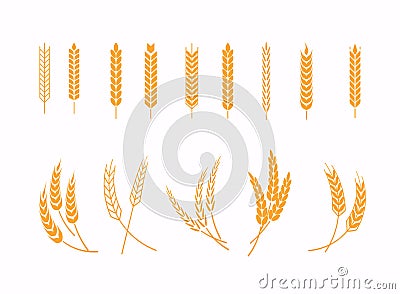 Set of wheats ears icons and wheat design elements. Harvest wheat grain, growth rice stalk and whole bread grains or field cereal Vector Illustration