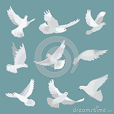 Set white doves peace isolated on background. Bird illustration. Cartoon Illustration