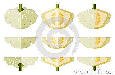 Set of White Patty Pan squash. Flat style Vector Illustration