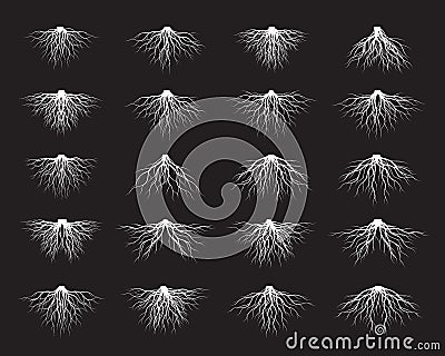 Set of white Tree Roots. Vector outline Illustration and nature image Stock Photo