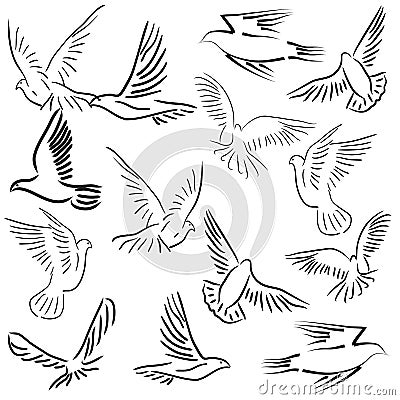 Set of white vector doves. Vector Illustration