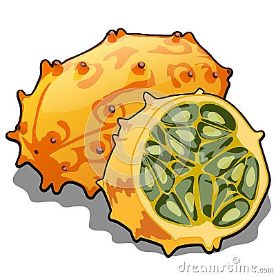 Set of whole and half of ripe kiwano fruit or Cucumis metulifer, horned melon. Element of a healthy diet. Delicious and Vector Illustration