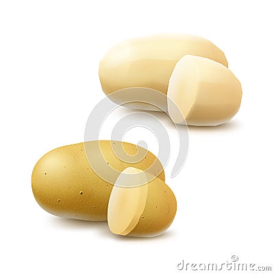 Set of Whole Peeled Unpeeled and Sliced Potatoes Vector Illustration